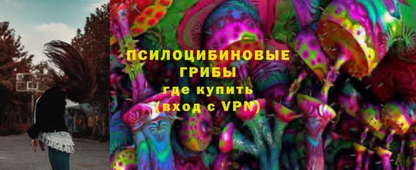 марки lsd Белокуриха